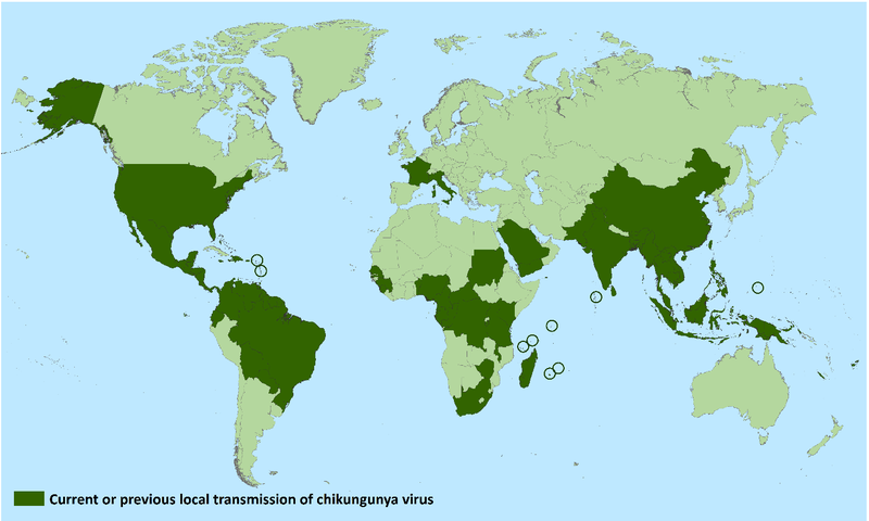 Mapa de distribución mundial del virus Chikungunya./CDC 